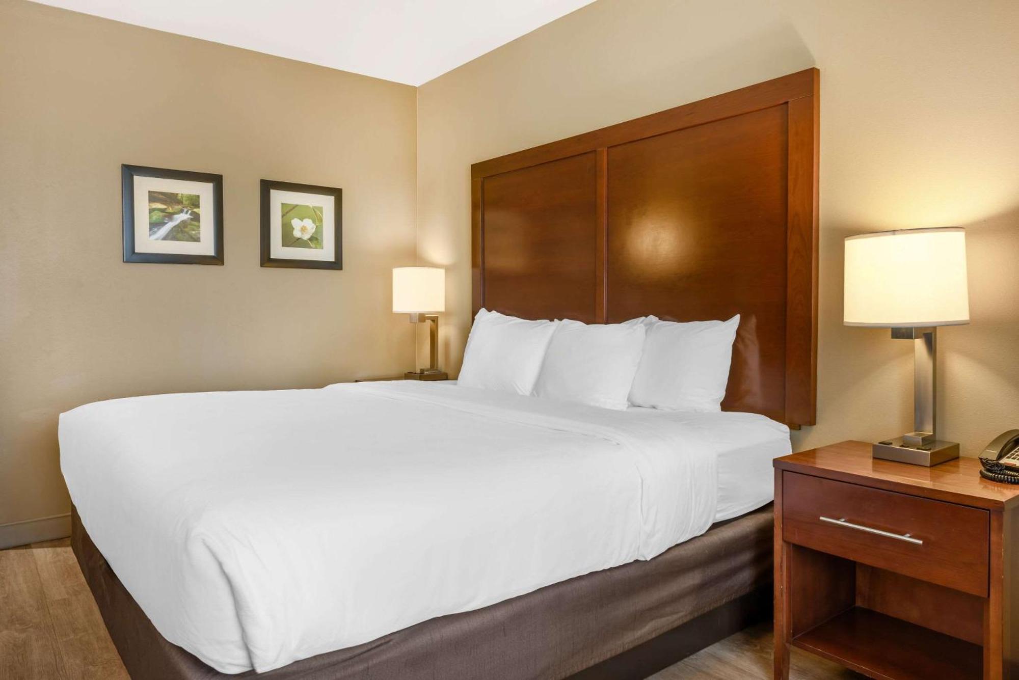 Comfort Inn & Suites At Crossplex Village Birmingham Zewnętrze zdjęcie