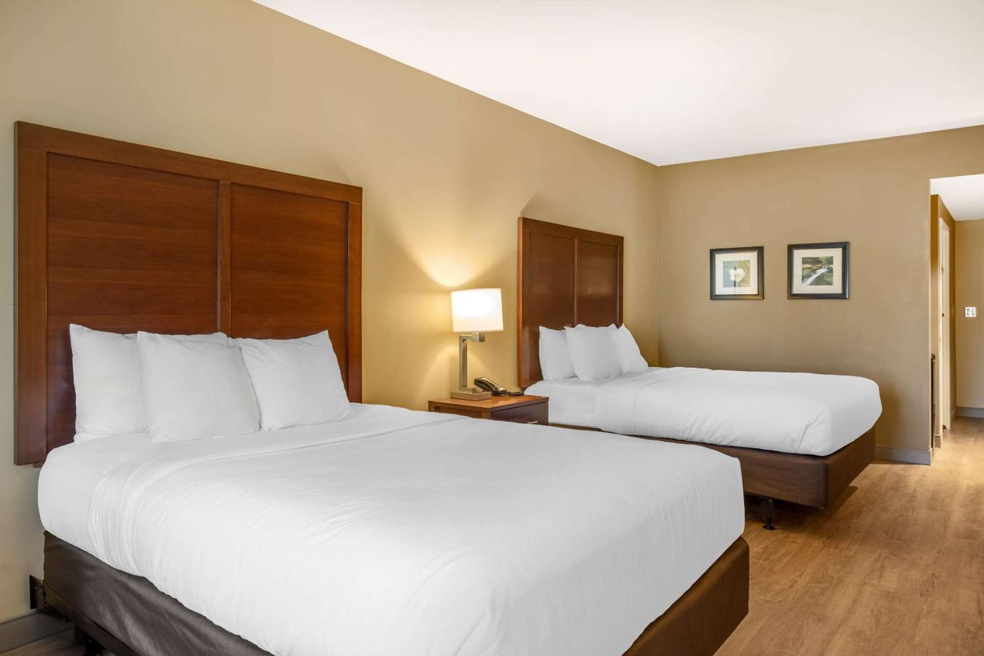 Comfort Inn & Suites At Crossplex Village Birmingham Zewnętrze zdjęcie